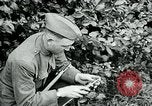 Image of 318th Infantry Regiment France, 1918, second 14 stock footage video 65675044423