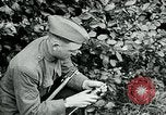 Image of 318th Infantry Regiment France, 1918, second 16 stock footage video 65675044423