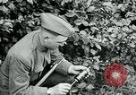 Image of 318th Infantry Regiment France, 1918, second 17 stock footage video 65675044423
