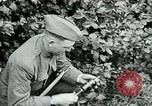 Image of 318th Infantry Regiment France, 1918, second 18 stock footage video 65675044423