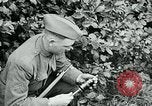 Image of 318th Infantry Regiment France, 1918, second 19 stock footage video 65675044423