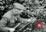 Image of 318th Infantry Regiment France, 1918, second 20 stock footage video 65675044423