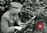 Image of 318th Infantry Regiment France, 1918, second 22 stock footage video 65675044423