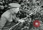 Image of 318th Infantry Regiment France, 1918, second 24 stock footage video 65675044423