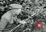 Image of 318th Infantry Regiment France, 1918, second 25 stock footage video 65675044423