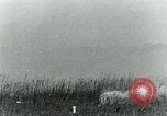 Image McBride canon à gaz United States USA, 1921, de la seconde 62 séquences d'archives historiques vidéo 65675044445
