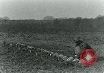 Image anime les projecteurs United States USA, 1921, de la seconde 26 séquences d'archives historiques vidéo 65675044451
