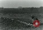 Image anime les projecteurs United States USA, 1921, de la seconde 27 séquences d'archives historiques vidéo 65675044451