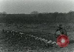 Image anime les projecteurs United States USA, 1921, de la seconde 28 séquences d'archives historiques vidéo 65675044451