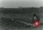 Image anime les projecteurs United States USA, 1921, de la seconde 29 séquences d'archives historiques vidéo 65675044451
