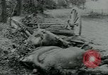 Image of Montage of World War 1 battle scenes Europe, 1918, second 19 stock footage video 65675044458