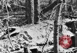 Standbild US-Truppen bereit in Gräben während Ersten Weltkrieg Elsass Deutschland, 1918, aus Sekunde 24 historischem Filmmaterial Videoclip 65675044462
