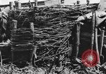 Standbild US-Truppen bereit in Gräben während Ersten Weltkrieg Elsass Deutschland, 1918, aus Sekunde 48 historischem Filmmaterial Videoclip 65675044462