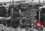 Standbild US-Truppen bereit in Gräben während Ersten Weltkrieg Elsass Deutschland, 1918, aus Sekunde 49 historischem Filmmaterial Videoclip 65675044462