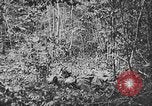 Standbild 128 Infanterie Regiment Elsass Frankreich, 1918, aus Sekunde 48 historischem Filmmaterial Videoclip 65675044465