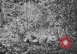 Standbild 128 Infanterie Regiment Elsass Frankreich, 1918, aus Sekunde 49 historischem Filmmaterial Videoclip 65675044465