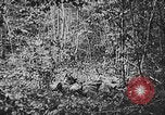 Standbild 128 Infanterie Regiment Elsass Frankreich, 1918, aus Sekunde 50 historischem Filmmaterial Videoclip 65675044465