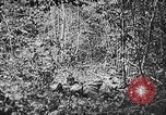 Standbild 128 Infanterie Regiment Elsass Frankreich, 1918, aus Sekunde 51 historischem Filmmaterial Videoclip 65675044465