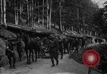 Standbild USA Soldaten Frankreich, 1918, aus Sekunde 43 historischem Filmmaterial Videoclip 65675044472