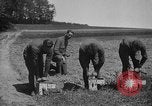 Image La guerre du gaz en Première Guerre Mondiale France, 1918, de la seconde 6 séquences d'archives historiques vidéo 65675044473
