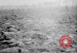 Standbild kanadischen Truppen Ploegsteert Belgien, 1917, aus Sekunde 27 historischem Filmmaterial Videoclip 65675044475
