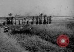 Image en Belgique pendant des forces canadiennes Première Guerre Mondiale Flandre occidentale Belgique, 1917, de la seconde 18 séquences d'archives historiques vidéo 65675044478