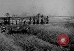 Image en Belgique pendant des forces canadiennes Première Guerre Mondiale Flandre occidentale Belgique, 1917, de la seconde 20 séquences d'archives historiques vidéo 65675044478