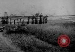 Image en Belgique pendant des forces canadiennes Première Guerre Mondiale Flandre occidentale Belgique, 1917, de la seconde 21 séquences d'archives historiques vidéo 65675044478