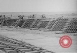 Immagine di Truppe canadesi Fiandra occidentale Belgio, 1917, secondo 7 filmato di repertorio 65675044479