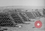 Immagine di Truppe canadesi Fiandra occidentale Belgio, 1917, secondo 21 filmato di repertorio 65675044479