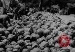 Immagine di Truppe canadesi Fiandra occidentale Belgio, 1917, secondo 24 filmato di repertorio 65675044479