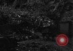 Standbild Vereinigten Staaten militärische Beamte Monschau Deutschland, 1944, aus Sekunde 17 historischem Filmmaterial Videoclip 65675044495
