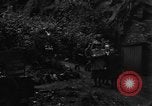 Standbild Vereinigten Staaten militärische Beamte Monschau Deutschland, 1944, aus Sekunde 18 historischem Filmmaterial Videoclip 65675044495