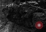 Standbild USA Soldaten Hurtgen Deutschland, 1944, aus Sekunde 12 historischem Filmmaterial Videoclip 65675044496