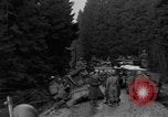 Standbild USA Soldaten Hurtgen Deutschland, 1944, aus Sekunde 45 historischem Filmmaterial Videoclip 65675044496