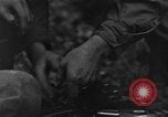 Immagine di Pistole Belgio, 1944, secondo 34 filmato di repertorio 65675044502