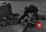 Immagine di Ponte Belgio, 1944, secondo 33 filmato di repertorio 65675044503