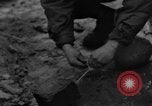 Immagine di Ponte Belgio, 1944, secondo 36 filmato di repertorio 65675044503
