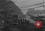 Immagine di 90 mm gun Belgio, 1944, secondo 44 filmato di repertorio 65675044504
