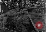 Image of 36th infantry regiment soldiers Belgium, 1944, second 24 stock footage video 65675044506