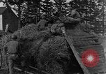 Image of 36th infantry regiment soldiers Belgium, 1944, second 26 stock footage video 65675044506