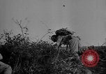 Image of Treatment for psychiatric combat stress in World War 2 Italy, 1944, second 52 stock footage video 65675044515