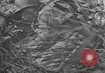 Image of Treatment for psychiatric combat stress in World War 2 Italy, 1944, second 62 stock footage video 65675044515