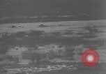 Image of United States 92nd Infantry division Italy, 1944, second 36 stock footage video 65675044517