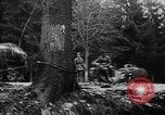 Standbild deutschen Offensive Malmedy Belgien, 1944, aus Sekunde 20 historischem Filmmaterial Videoclip 65675044521