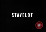 Standbild American 30 Infanterie Division setzt Verteidigung in Holz Stavelot Belgien, 1944, aus Sekunde 3 historischem Filmmaterial Videoclip 65675044524