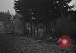 Standbild American 30 Infanterie Division setzt Verteidigung in Holz Stavelot Belgien, 1944, aus Sekunde 6 historischem Filmmaterial Videoclip 65675044524