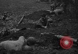 Standbild American 30 Infanterie Division setzt Verteidigung in Holz Stavelot Belgien, 1944, aus Sekunde 8 historischem Filmmaterial Videoclip 65675044524