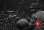 Standbild American 30 Infanterie Division setzt Verteidigung in Holz Stavelot Belgien, 1944, aus Sekunde 14 historischem Filmmaterial Videoclip 65675044524