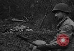 Standbild American 30 Infanterie Division setzt Verteidigung in Holz Stavelot Belgien, 1944, aus Sekunde 15 historischem Filmmaterial Videoclip 65675044524